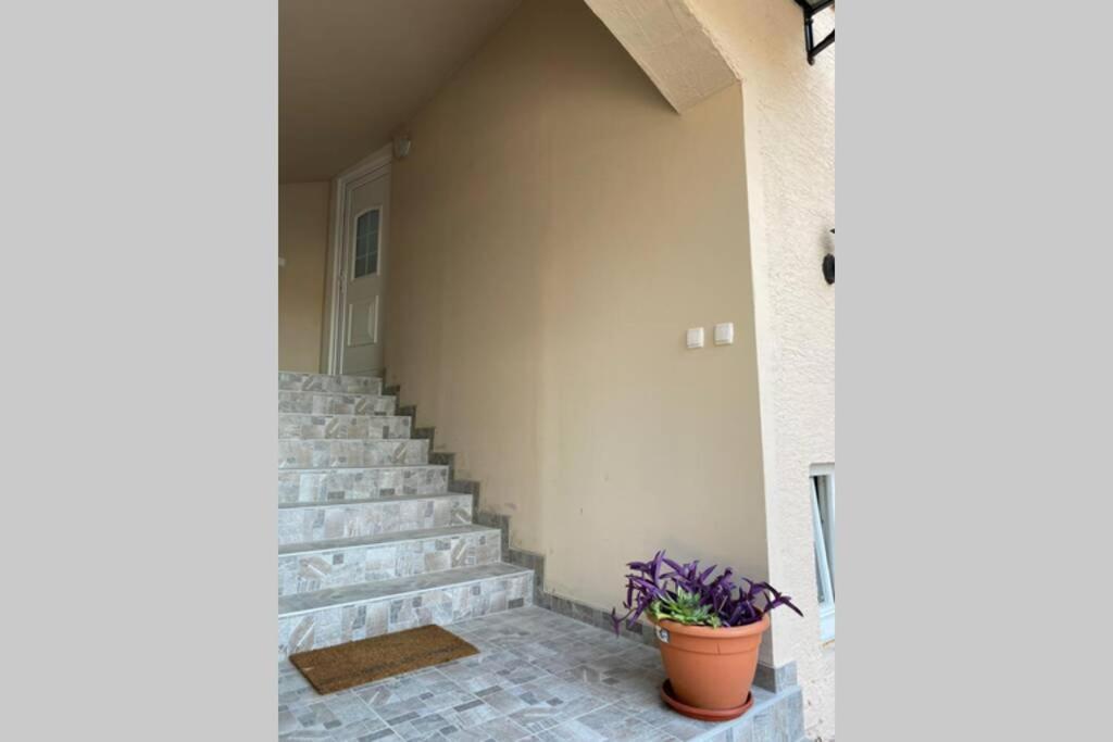Apartment Modric ザダル エクステリア 写真